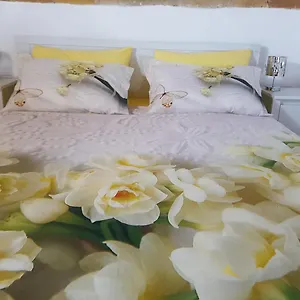 Bed and breakfast B&bittle, Roma